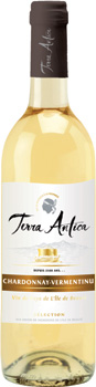 terra_antica_white